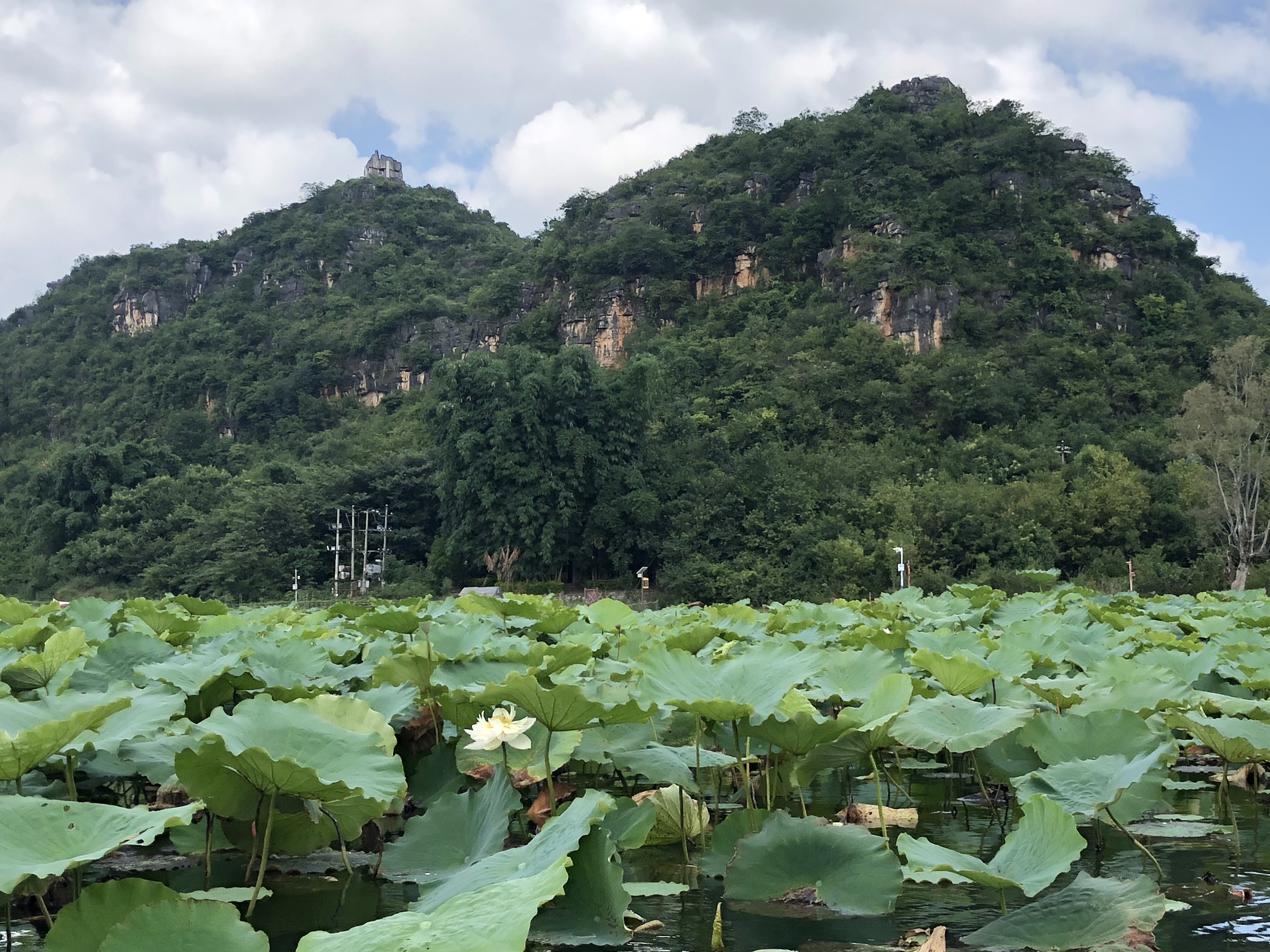  平邑租车流程及注意事项